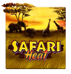 Safari Heat Slot Online