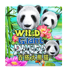 Wild Giant Panda situs bandar judi slot